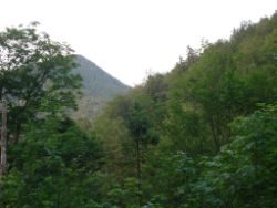 2013-07-20_Regina-F-Rau_Kochel-Rabenkopf (584).JPG